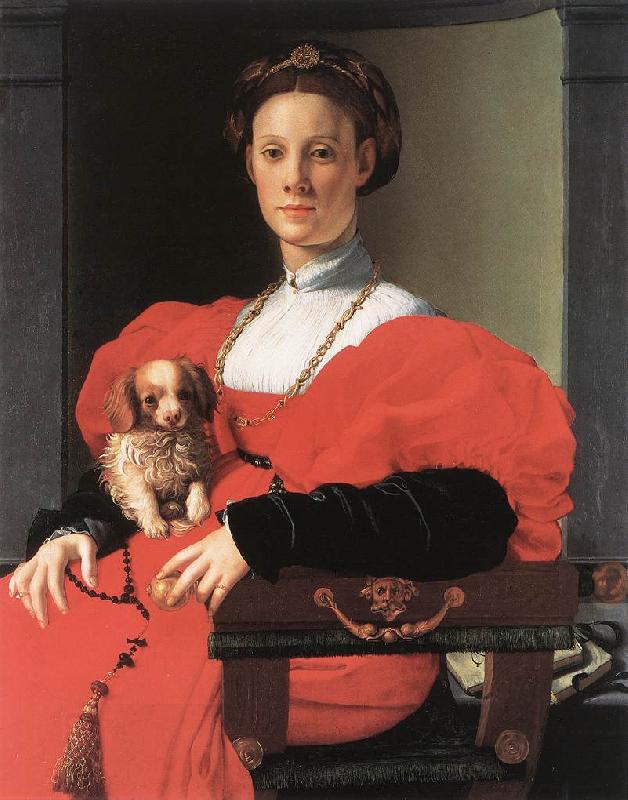 BRONZINO, Agnolo Portrait of a Lady with a Puppy f China oil painting art